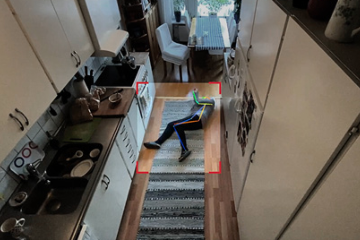 IZCI Detection View